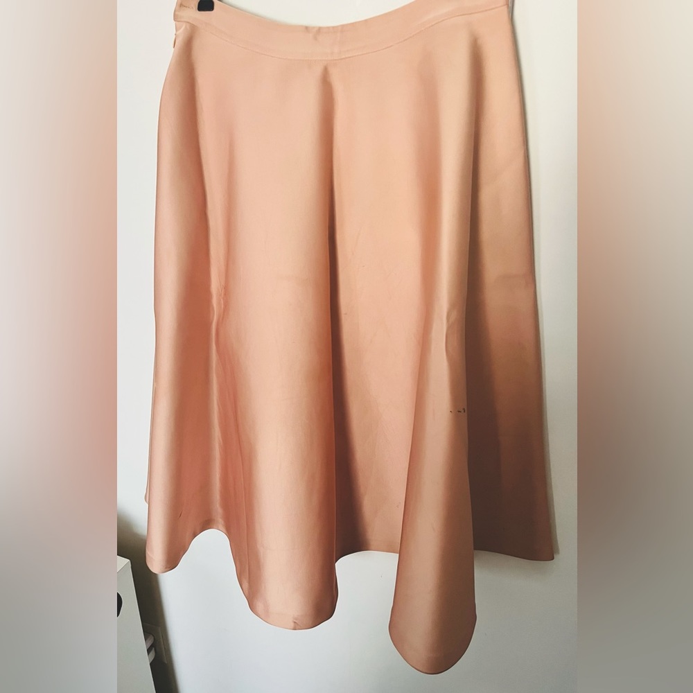 Rose Pink Fit and Flare Skirt